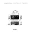 METHODS FOR DIAGNOSIS AND TREATMENT OF PROLIFERATIVE DISORDERS MEDIATED BY     CD40 SIGNALING diagram and image