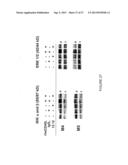 METHODS FOR DIAGNOSIS AND TREATMENT OF PROLIFERATIVE DISORDERS MEDIATED BY     CD40 SIGNALING diagram and image