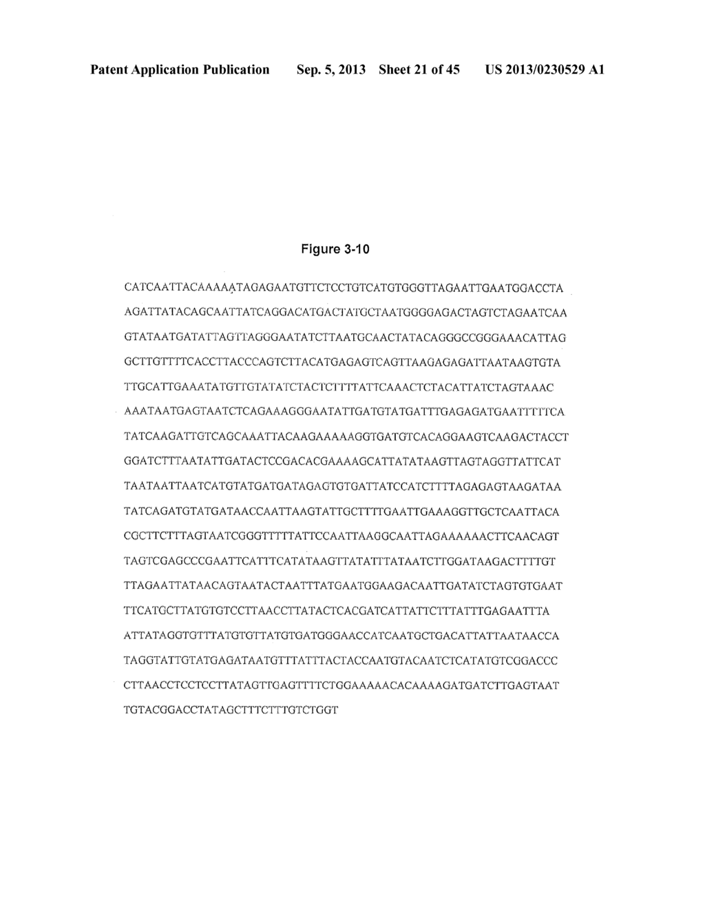 NOVEL PARAMYXOVIRUS AND USES THEREOF - diagram, schematic, and image 22