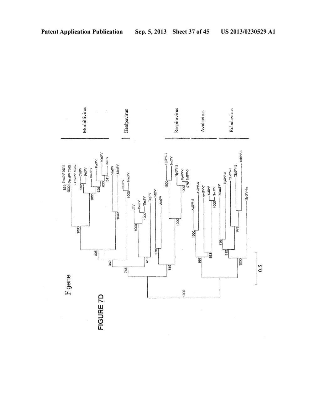 NOVEL PARAMYXOVIRUS AND USES THEREOF - diagram, schematic, and image 38