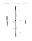 METHODS OF TREATING SYSTEMIC LUPUS ERYTHEMATOSUS (SLE) USING ANTI-CD48     ANTIBODIES diagram and image