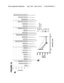 ANTAGONISTIC HUMAN LIGHT-SPECIFIC HUMAN MONOCLONAL ANTIBODIES diagram and image