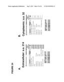 ANTAGONISTIC HUMAN LIGHT-SPECIFIC HUMAN MONOCLONAL ANTIBODIES diagram and image