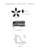 CLOSTRIDIUM DIFFICILE-SPECIFIC ANTIBODIES AND USES THEREOF diagram and image