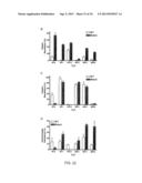 CLOSTRIDIUM DIFFICILE-SPECIFIC ANTIBODIES AND USES THEREOF diagram and image