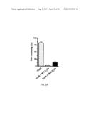 CLOSTRIDIUM DIFFICILE-SPECIFIC ANTIBODIES AND USES THEREOF diagram and image