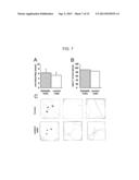 Anti-Leukocyte Recruitment Therapy for the Treatment of Seizures and     Epilepsy diagram and image