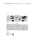 COMPOSITIONS MONOVALENT FOR CD28 BINDING AND METHODS OF USE diagram and image