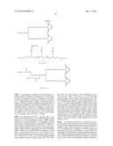 COMPOSITIONS MONOVALENT FOR CD28 BINDING AND METHODS OF USE diagram and image