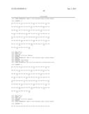 COMPOSITIONS MONOVALENT FOR CD28 BINDING AND METHODS OF USE diagram and image