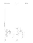 ENGINEERED POLYPEPTIDE CONJUGATES AND METHODS FOR MAKING THEREOF USING     TRANSGLUTAMINASE diagram and image