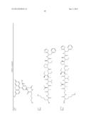 ENGINEERED POLYPEPTIDE CONJUGATES AND METHODS FOR MAKING THEREOF USING     TRANSGLUTAMINASE diagram and image