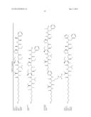 ENGINEERED POLYPEPTIDE CONJUGATES AND METHODS FOR MAKING THEREOF USING     TRANSGLUTAMINASE diagram and image