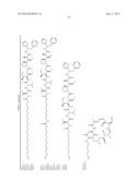 ENGINEERED POLYPEPTIDE CONJUGATES AND METHODS FOR MAKING THEREOF USING     TRANSGLUTAMINASE diagram and image