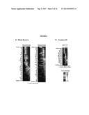 SYNTHETIC LIPID BIOLOGY FOR COMBINATORIAL ENGINEERING OF ENDOTOXIN diagram and image