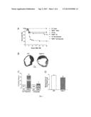 EGFR ANTAGONIST FOR THE TREATMENT OF HEART DISEASE diagram and image