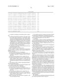 ISOLATED MESENCHYMAL PROGENITOR CELLS AND EXTRACELLULAR MATRIX PRODUCED     THEREBY diagram and image