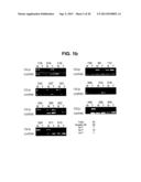 PROTEIN KINASE CK2 GENE MUTATIONS, AMPLIFICATIONS AND POLYMORPHISMS IN     HUMAN CANCERS AND METHODS OF USE diagram and image