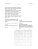 PROTEIN KINASE CK2 GENE MUTATIONS, AMPLIFICATIONS AND POLYMORPHISMS IN     HUMAN CANCERS AND METHODS OF USE diagram and image