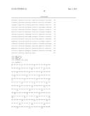 PROTEIN KINASE CK2 GENE MUTATIONS, AMPLIFICATIONS AND POLYMORPHISMS IN     HUMAN CANCERS AND METHODS OF USE diagram and image