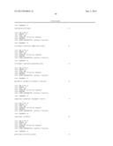 PROTEIN KINASE CK2 GENE MUTATIONS, AMPLIFICATIONS AND POLYMORPHISMS IN     HUMAN CANCERS AND METHODS OF USE diagram and image