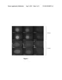 Enzymatic Assays for a Droplet Actuator diagram and image