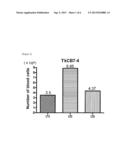 CULTURE METHOD RELATED TO DIFFERENTIATION OF PLURIPOTENT STEM CELLS INTO     BLOOD CELLS diagram and image