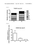 CULTURE METHOD RELATED TO DIFFERENTIATION OF PLURIPOTENT STEM CELLS INTO     BLOOD CELLS diagram and image