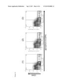 CULTURE METHOD RELATED TO DIFFERENTIATION OF PLURIPOTENT STEM CELLS INTO     BLOOD CELLS diagram and image