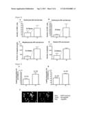 CULTURE METHOD RELATED TO DIFFERENTIATION OF PLURIPOTENT STEM CELLS INTO     BLOOD CELLS diagram and image