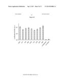 Methods to Identify Synthetic and Natural RNA Elements that Enhance     Protein Translation diagram and image