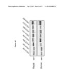 Methods to Identify Synthetic and Natural RNA Elements that Enhance     Protein Translation diagram and image