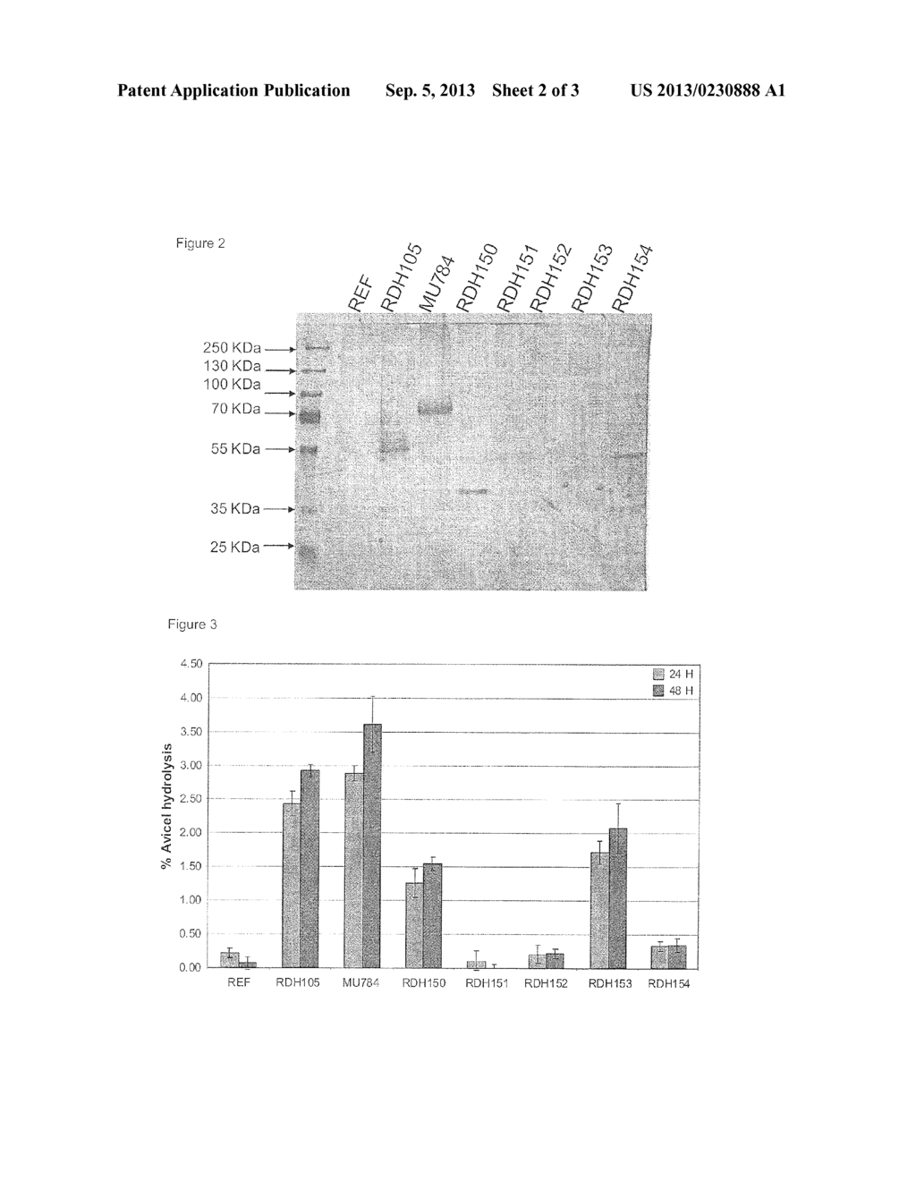 Heterologous Expression of Fungal Cellobiohydrolase 2 Genes in Yeast - diagram, schematic, and image 03