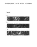 METHOD AND DEVICE FOR UNIFORMLY TREATING ADHERENT CELLS diagram and image