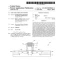 STRUCTURE FABRICATION METHOD diagram and image