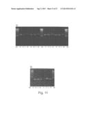 METHOD OF NUCLEIC ACID AMPLIFICATION diagram and image