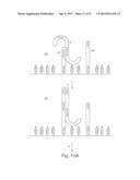 METHOD OF NUCLEIC ACID AMPLIFICATION diagram and image