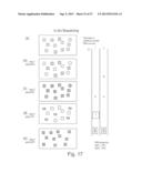 METHOD OF NUCLEIC ACID AMPLIFICATION diagram and image