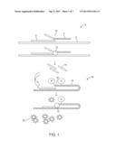 MULTIPLEXED KRAS MUTATION DETECTION ASSAY diagram and image