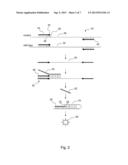 MULTIPLEXED KRAS MUTATION DETECTION ASSAY diagram and image