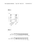 FUSION PROTEIN HAVING TRANSCRIPTION FACTOR TRANSACTIVATION-REGULATING     DOMAIN AND PROTEIN TRANSDUCTION DOMAIN, AND TRANSCRIPTION FACTOR FUNCTION     INHIBITOR COMPRISING THE SAME diagram and image