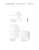 FUSION PROTEIN HAVING TRANSCRIPTION FACTOR TRANSACTIVATION-REGULATING     DOMAIN AND PROTEIN TRANSDUCTION DOMAIN, AND TRANSCRIPTION FACTOR FUNCTION     INHIBITOR COMPRISING THE SAME diagram and image