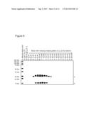 NOVEL NEURTURIN CONJUGATES FOR PHARMACEUTICAL USE diagram and image