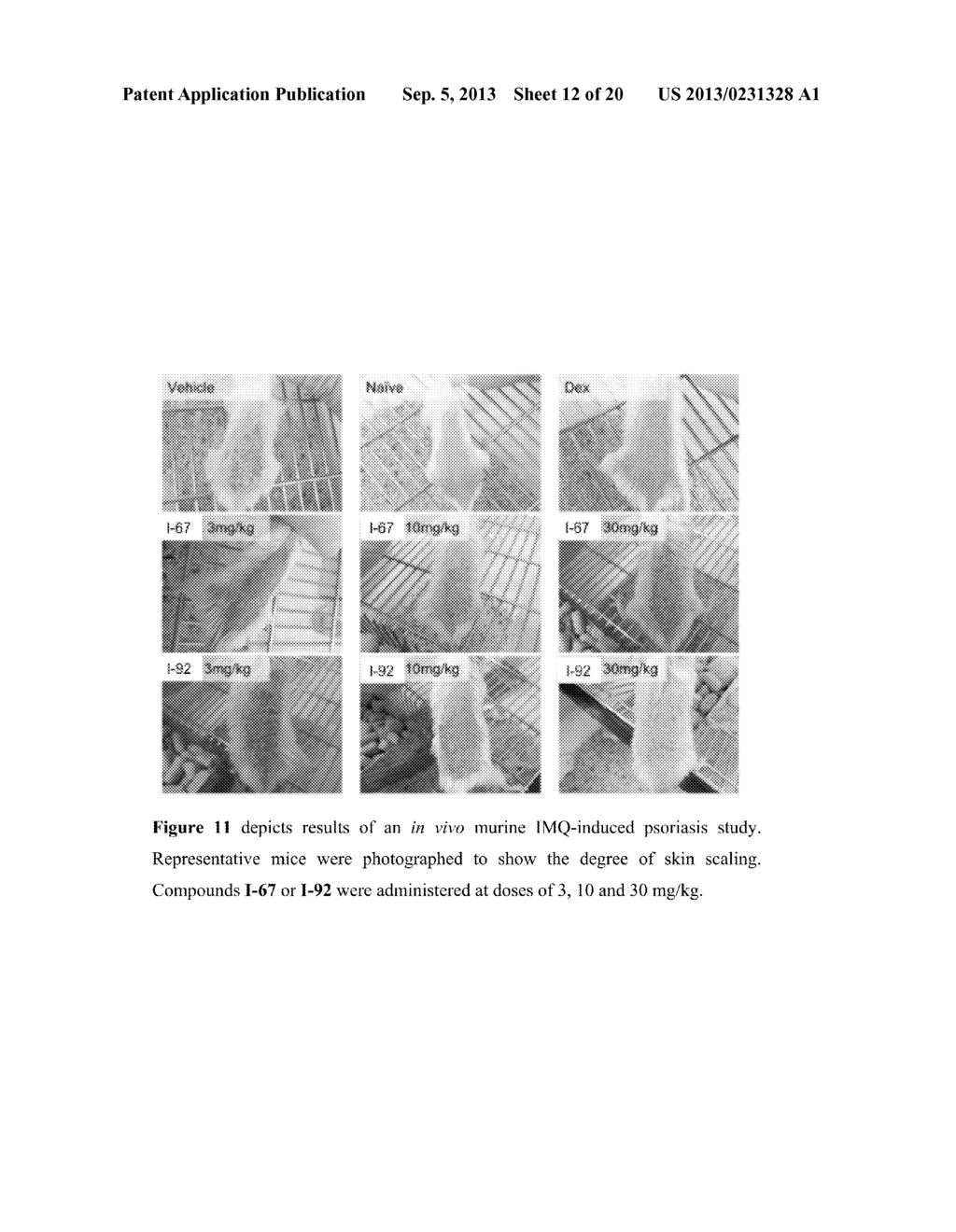 IRAK INHIBITORS AND USES THEREOF - diagram, schematic, and image 13