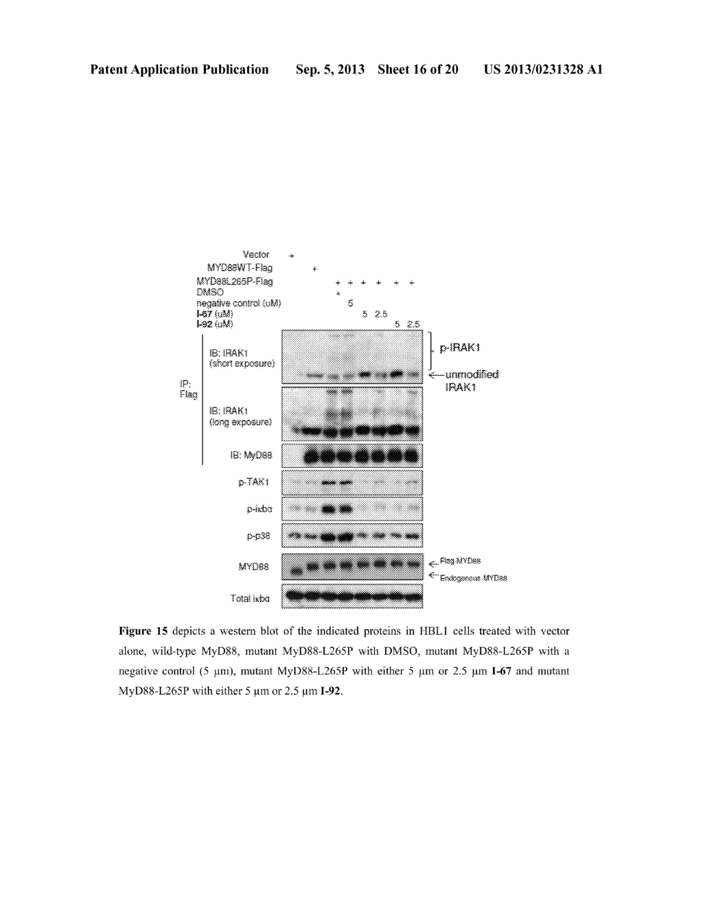 IRAK INHIBITORS AND USES THEREOF - diagram, schematic, and image 17