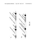 Cell Display Of Antibody Libraries diagram and image