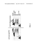 Cell Display Of Antibody Libraries diagram and image