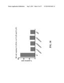 Cell Display Of Antibody Libraries diagram and image