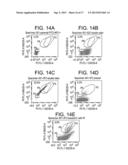 Cell Display Of Antibody Libraries diagram and image