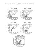 Cell Display Of Antibody Libraries diagram and image